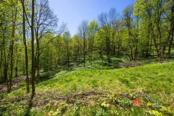 Prodej pozemku pro bydlení, Dolní Morava - Horní Morava, 1045 m2