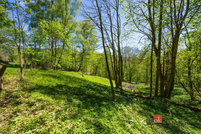 Prodej pozemku pro bydlení, Dolní Morava - Horní Morava, 1045 m2