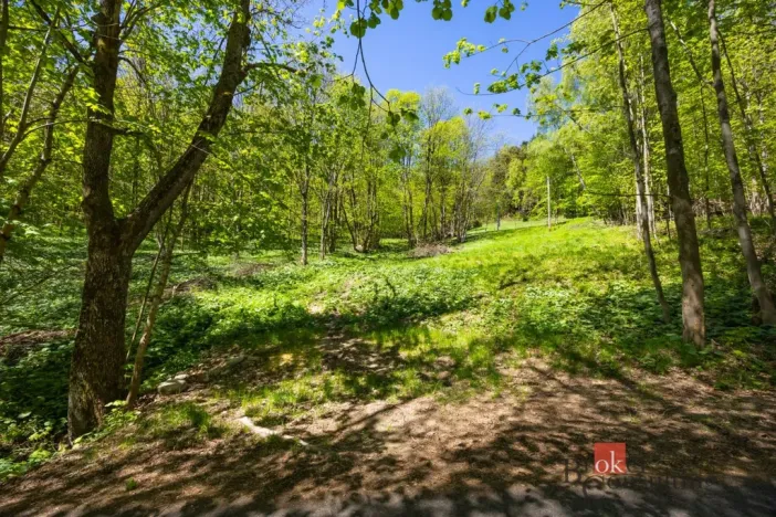 Prodej pozemku pro bydlení, Dolní Morava - Horní Morava, 1045 m2