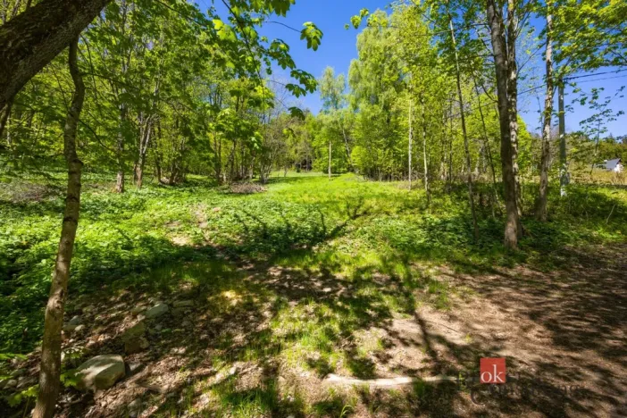 Prodej pozemku pro bydlení, Dolní Morava - Horní Morava, 1045 m2