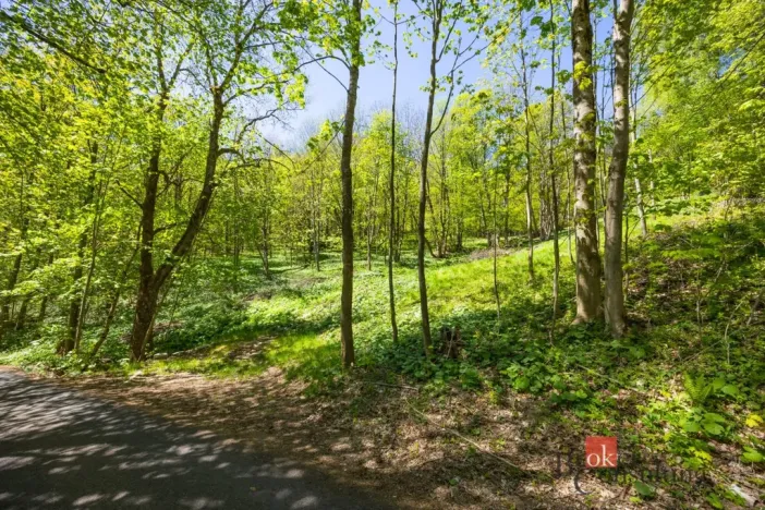 Prodej pozemku pro bydlení, Dolní Morava - Horní Morava, 1045 m2