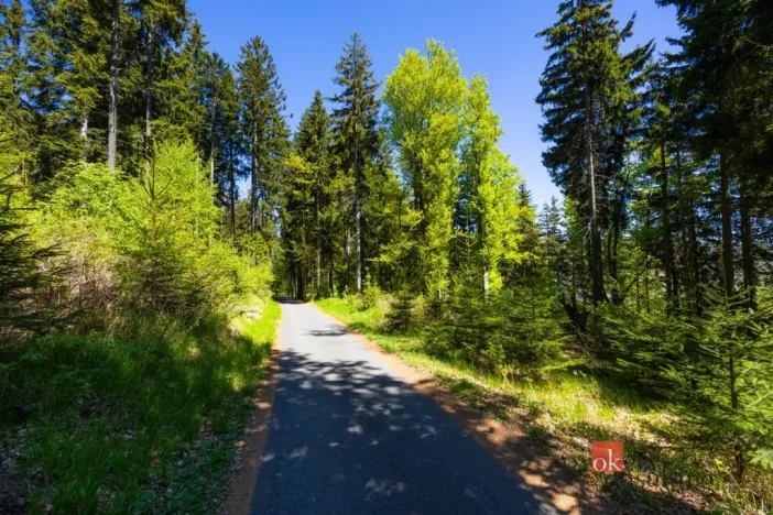 Prodej pozemku pro bydlení, Dolní Morava - Horní Morava, 1045 m2