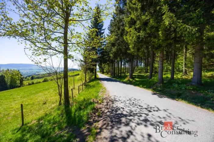 Prodej pozemku pro bydlení, Dolní Morava - Horní Morava, 1045 m2