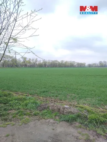 Prodej zahrady, Opava - Město, 250 m2