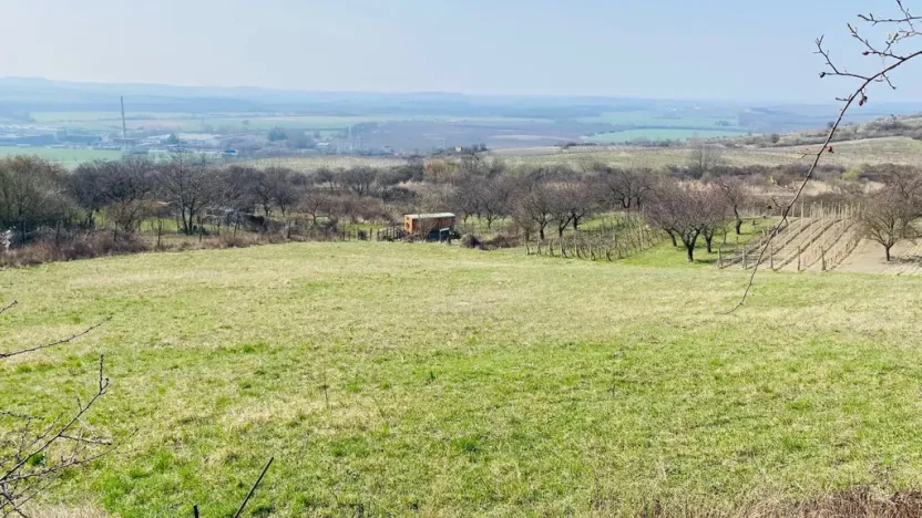 Prodej zahrady, Mikulov, Nová, 1043 m2