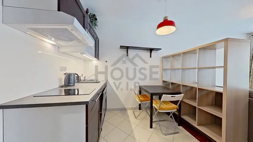 Pronájem bytu 1+kk, Praha - Žižkov, Olšanská, 36 m2