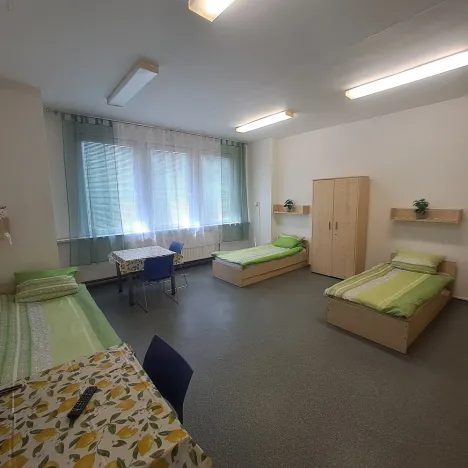 Pronájem bytu 1+kk, Hranice - Hranice I-Město, Potštátská, 30 m2