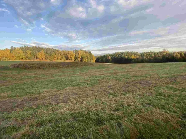 Prodej pole, Cvikov - Trávník, 7516 m2
