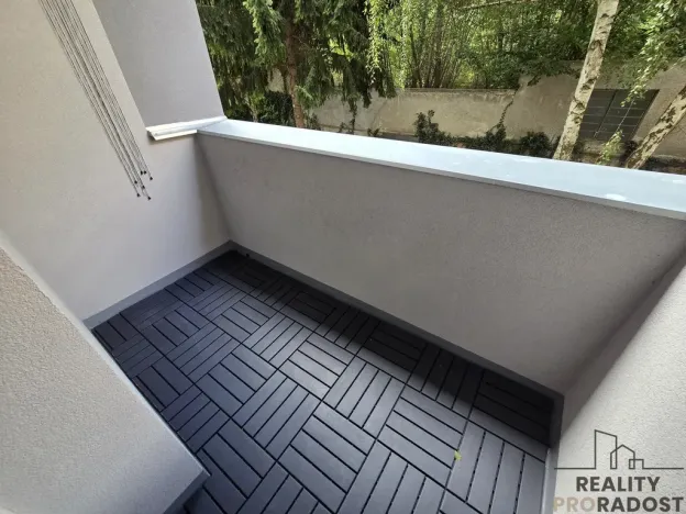 Pronájem bytu 1+kk, Brno, Palackého třída, 22 m2