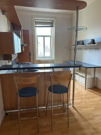 Pronájem bytu 2+1, Brno, Štefánikova, 75 m2