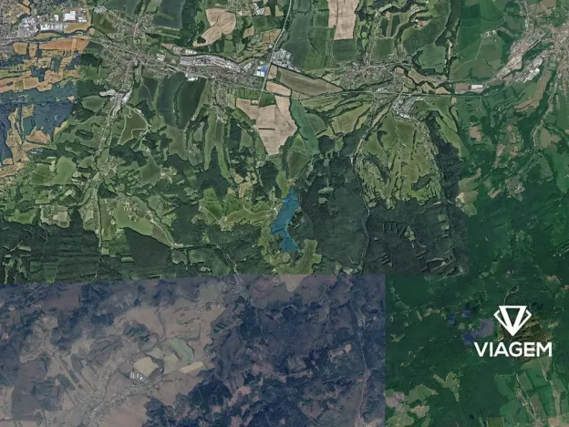 Prodej podílu lesa, Lípa, 4141 m2