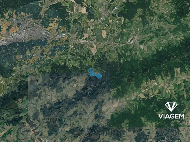 Prodej podílu lesa, Lípa, 13728 m2