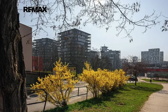 Pronájem bytu 5+kk, Praha - Žižkov, Pitterova, 254 m2