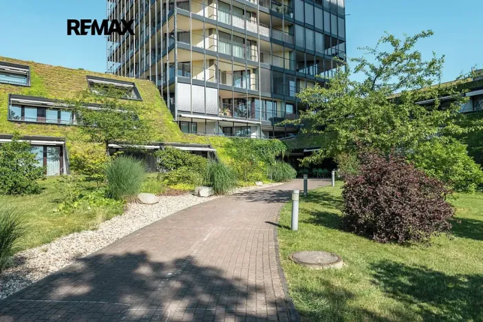 Pronájem bytu 5+kk, Praha - Žižkov, Pitterova, 254 m2
