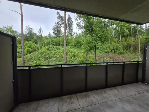 Pronájem bytu 1+1, Brno - Jehnice, Kleštínek, 39 m2