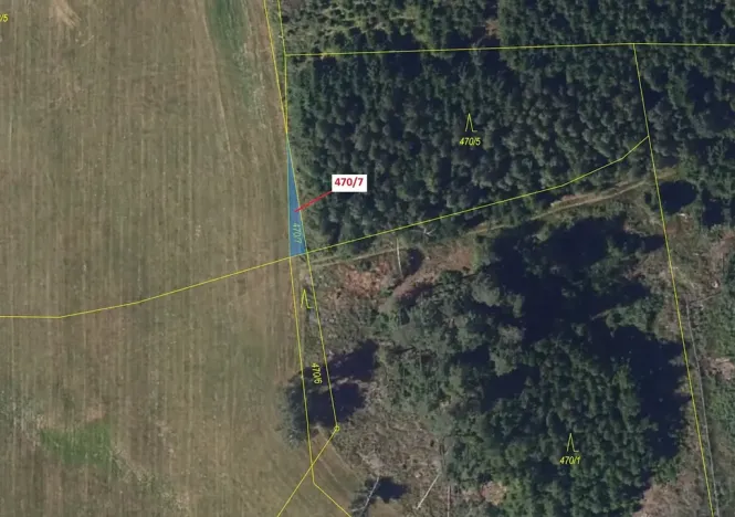 Dražba lesa, Česká Bělá, 90 m2