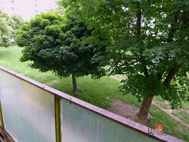 Prodej bytu 2+1, Bílina - Teplické Předměstí, M. Švabinského, 54 m2