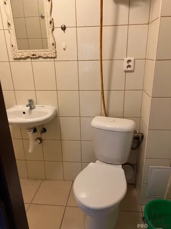 Prodej činžovního domu, Chabařovice, V Aleji, 270 m2