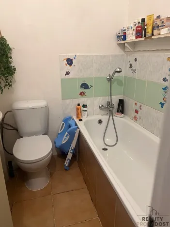 Prodej činžovního domu, Chabařovice, V Aleji, 270 m2