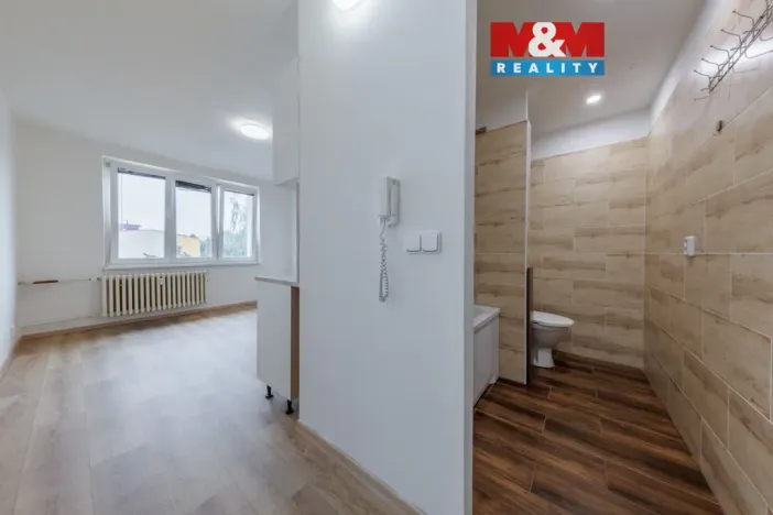 Prodej bytu 1+kk, Horní Slavkov, U Lesoparku, 19 m2