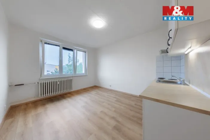 Prodej bytu 1+kk, Horní Slavkov, U Lesoparku, 19 m2