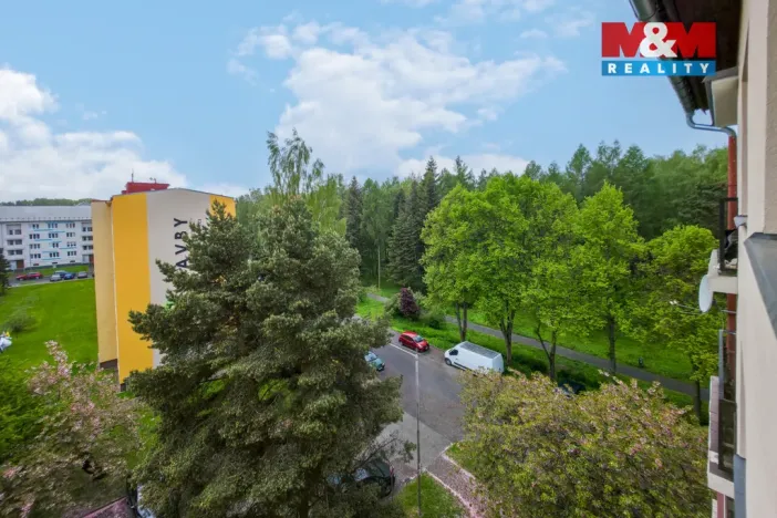 Prodej bytu 1+kk, Horní Slavkov, U Lesoparku, 19 m2