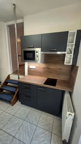 Pronájem bytu 1+kk, České Budějovice, Jírovcova, 30 m2