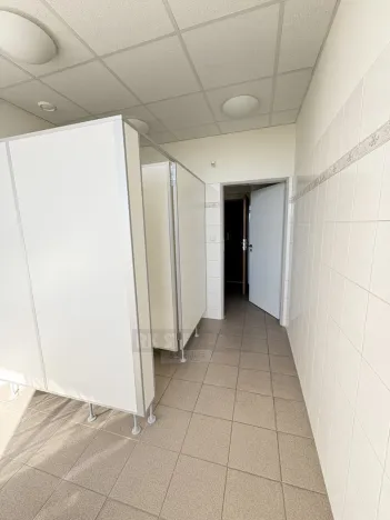 Pronájem kanceláře, České Budějovice - České Budějovice 3, K. Světlé, 71 m2