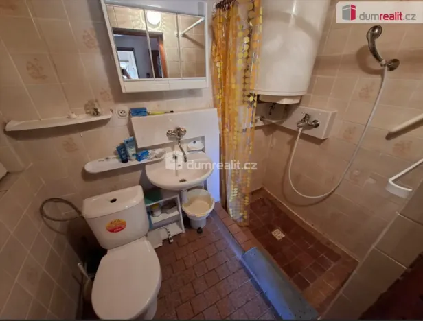 Prodej chaty, Černé Voděrady, Borka, 95 m2