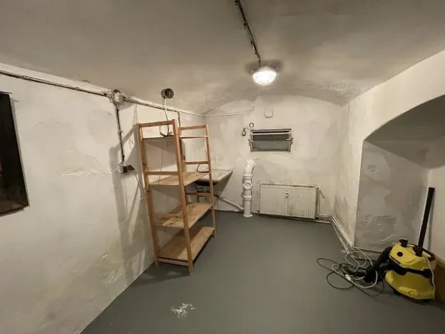 Pronájem skladu, Praha - Nusle, Oldřichova, 16 m2