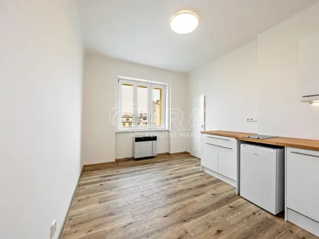 Pronájem bytu 1+kk, Praha - Nusle, V Horkách, 17 m2