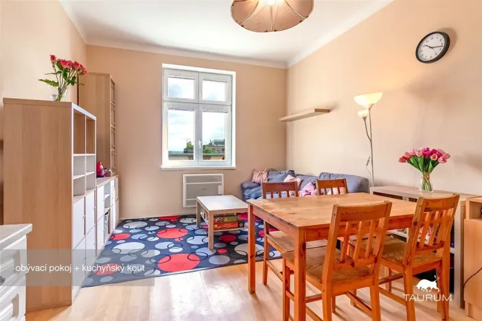 Prodej bytu 2+kk, Plzeň - Jižní Předměstí, Edvarda Beneše, 50 m2