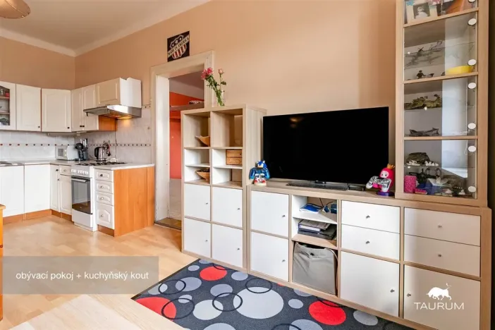 Prodej bytu 2+kk, Plzeň - Jižní Předměstí, Edvarda Beneše, 50 m2