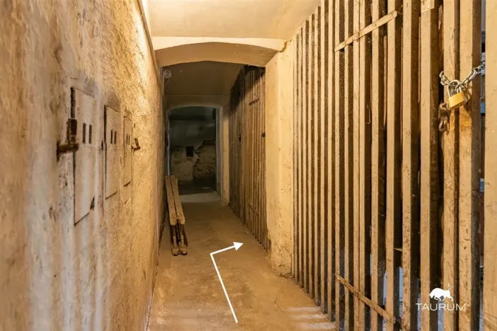 Prodej bytu 2+kk, Plzeň - Jižní Předměstí, Edvarda Beneše, 50 m2