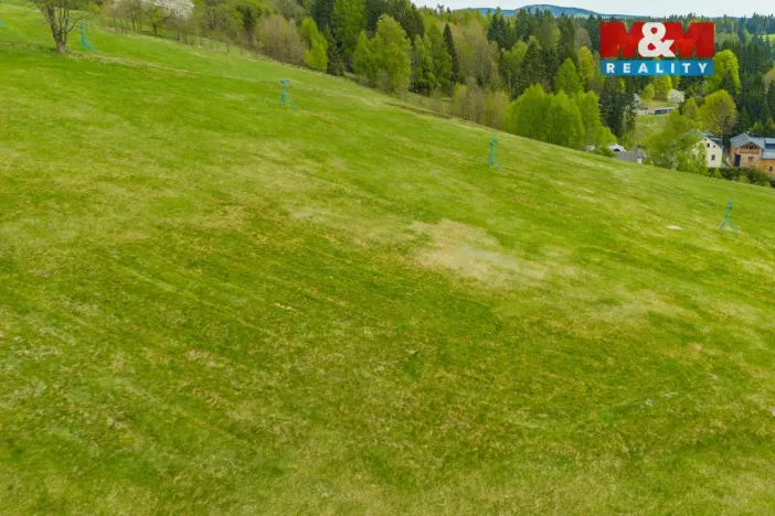 Prodej louky, Albrechtice v Jizerských horách, 13478 m2