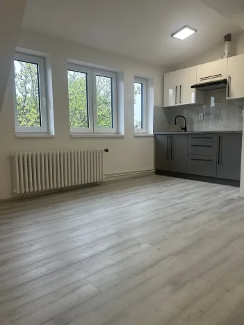Pronájem bytu 1+kk, Praha - Strašnice, Královická, 32 m2