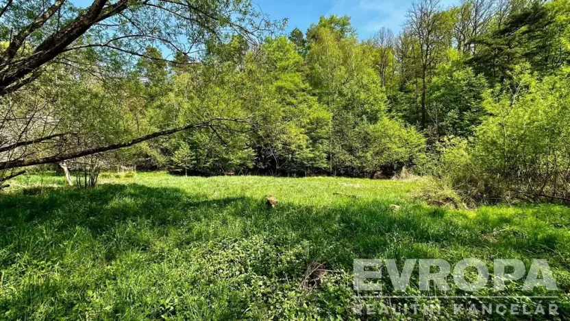 Prodej rodinného domu, Dubá - Nový Berštejn, Malý Mlýnek, 350 m2