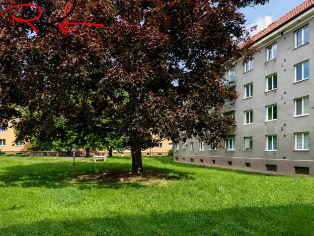 Pronájem bytu 1+1, Mělník, Sokolovská, 35 m2