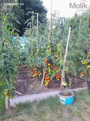 Prodej chaty, Chomutov, Lipská, 45 m2