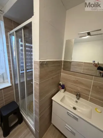 Prodej pokoje, Most, Průjezdná, 129 m2