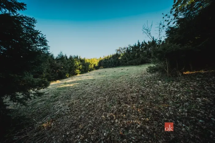 Prodej chaty, Sušice, 66 m2