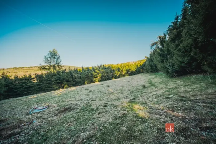 Prodej chaty, Sušice, 66 m2