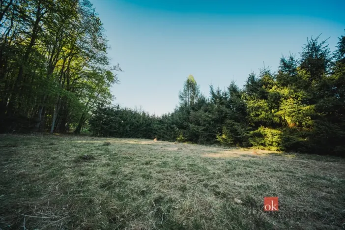 Prodej chaty, Sušice, 66 m2