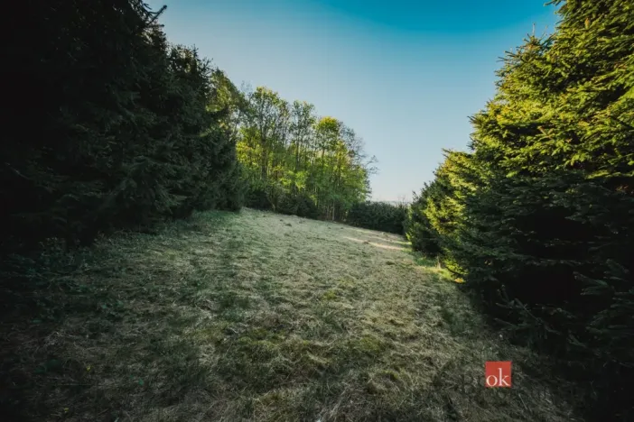 Prodej chaty, Sušice, 66 m2