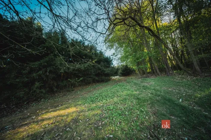 Prodej chaty, Sušice, 66 m2