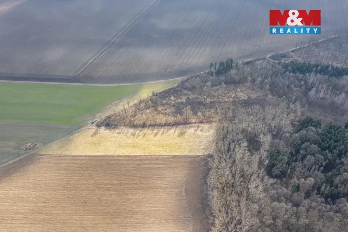 Prodej lesa, Bohuslavice, 11971 m2