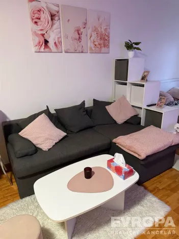 Pronájem bytu 1+kk, Liberec - Liberec II-Nové Město, Chrastavská, 38 m2