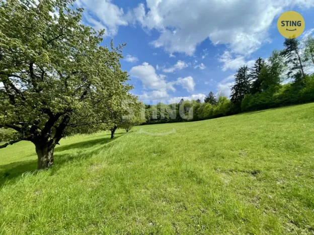 Prodej lesa, Městečko Trnávka - Pěčíkov, 16440 m2