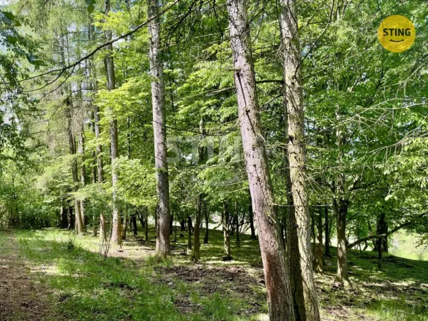 Prodej lesa, Městečko Trnávka - Pěčíkov, 16440 m2
