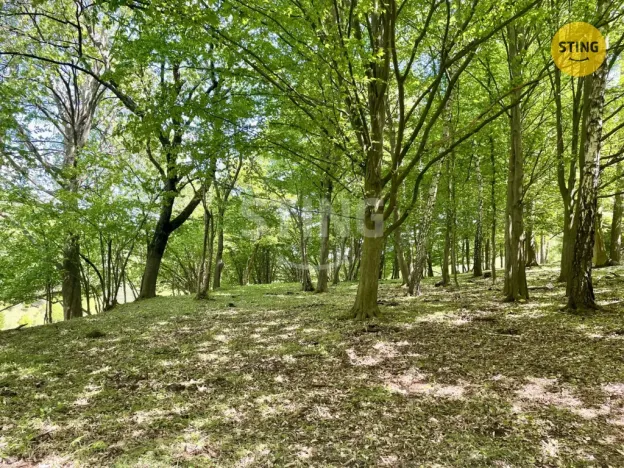 Prodej lesa, Městečko Trnávka - Pěčíkov, 16440 m2